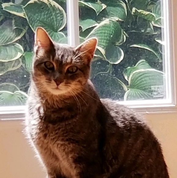 Meet your Posher, Tammy - Picture 1 of 1